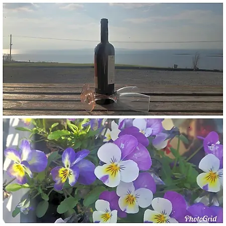 Our View Doolin