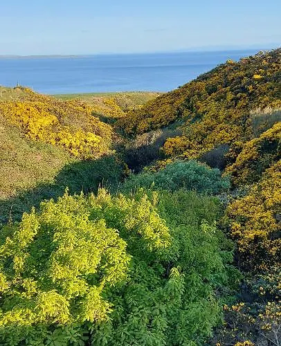 Our View Nocleg ze śniadaniem Doolin